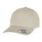 5-Panel Curved Classic Snapback