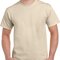 Heavy Cotton™ Adult T-Shirt