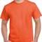 Heavy Cotton™ Adult T-Shirt