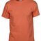 Heavy Cotton™ Adult T-Shirt