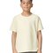 Heavy Cotton™ Youth T-Shirt