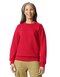 Softstyle® Midweight Fleece Adult Crewneck Sweatshirt