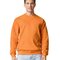Softstyle® Midweight Fleece Adult Crewneck Sweatshirt