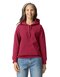Softstyle® Midweight Sweat Adult Hoodie