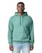 Softstyle® Midweight Sweat Adult Hoodie