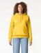 Softstyle® Midweight Sweat Adult Hoodie