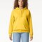 Softstyle® Midweight Sweat Adult Hoodie