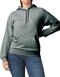 Softstyle® Midweight Sweat Adult Hoodie