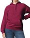 Softstyle® Midweight Sweat Adult Hoodie