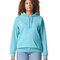 Softstyle® Midweight Sweat Adult Hoodie