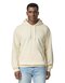 Softstyle® Midweight Sweat Adult Hoodie