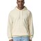 Softstyle® Midweight Sweat Adult Hoodie