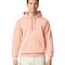 Softstyle® Midweight Sweat Adult Hoodie