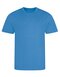 Cool T