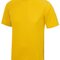 Cool T