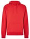 Regular Fit Hoodie