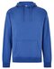 Regular Fit Hoodie