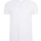 Phoenix Men Polo