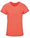Crusader Women T-Shirt