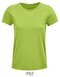 Crusader Women T-Shirt