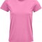 Crusader Women T-Shirt