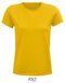 Crusader Women T-Shirt