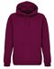 L03815 Unisex Condor Hooded Sweatshirt