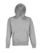 L03991 Unisex Hooded Sweatshirt Origin