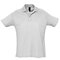 Summer Polo II