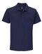 Summer Polo II