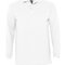 Longsleeve Polo Winter II