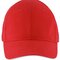 Six Panel Cap Solar