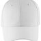 Six Panel Cap Blaze
