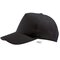 Five Panel Cap Buzz