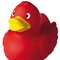 Schnabels® Quietsche-Ente