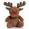 Reindeer