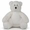 MM061 Print Me Eco Polar Bear