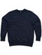 The Sweatshirt