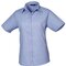 Ladies` Poplin Short Sleeve Blouse