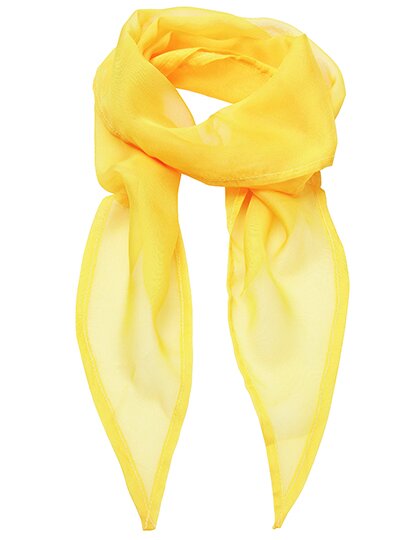 Women`s Colours Collection Chiffon Scarf