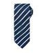 Sports Stripe Tie