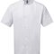 Essential Short Sleeve Chefs Jacket