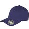 Kansas Flex Cap