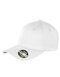 Kansas Flex Cap