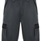 Shorts Tahoe