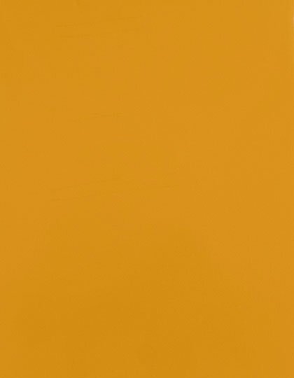 CAD-CUT® SportsFilm