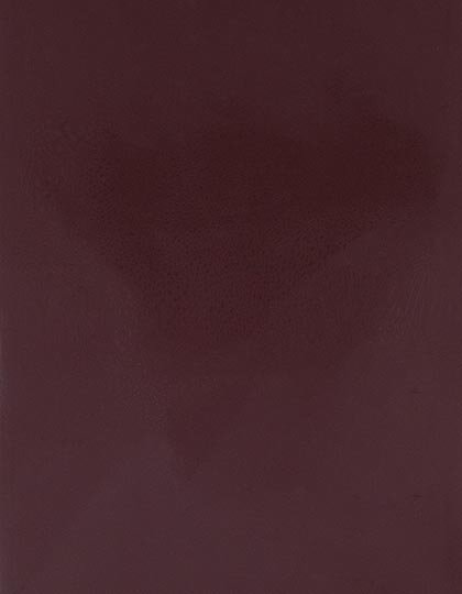 CAD-CUT® SportsFilm