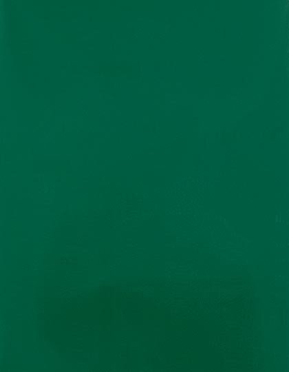 CAD-CUT® SportsFilm