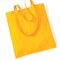 Bag for Life - Long Handles