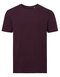 Men`s Pure Organic T